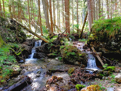 Sebastian-Wasserfall. — fotografia 5
