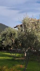 camping Zaritsi — fotografia 5