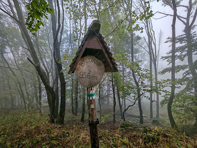 Kilátó a Bálvány tetején — fotografia 5