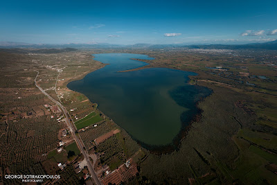 Lake Lysimachia