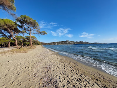 Schinias National Park