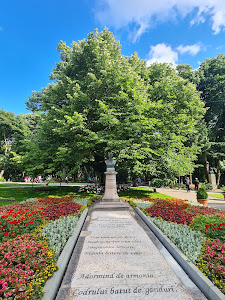 Teiul lui Eminescu — fotografia 3