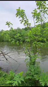 Panorama-Rastplatz für Radler am Ruhrtalradweg — fotografia 2