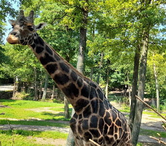 Zoo Schmiding / Museum - meeting of cultures — fotografia 4