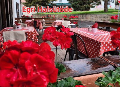 Egri Halsütöde — fotografia 4