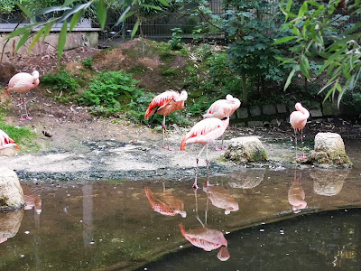 Straubing Zoo — fotografia 3