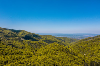 Jastrebac