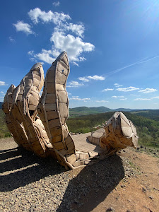 Palm of God — fotografia 3