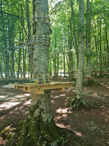 Area Picnic di Prato di Campoli — fotografia 4