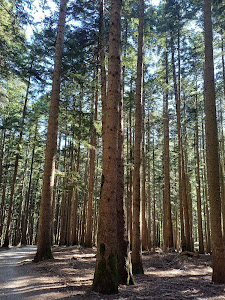 Parco Nazionale Foreste Casentinesi, Centro Visite — fotografia 4