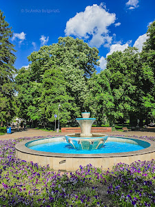 Silistra Park — fotografia 5