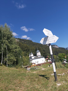 Mănăstirea Pătrunsa — fotografia 3
