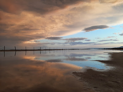 Platja dels Eucaliptus — fotografia 5
