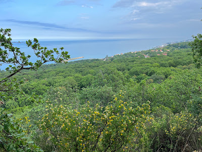 Панорама - зелен маршрут екопътека Аладжа