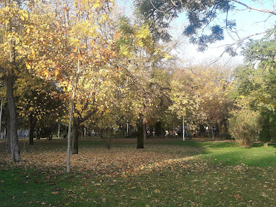 Parcul Marin Preda — fotografia 4