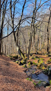The path of health - Kladnitsa - hut Selimitsa — fotografia 3