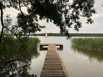 Campsite Binduga Lasek — fotografia 5