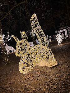 Bagolyvár Vadaspark — fotografia 3