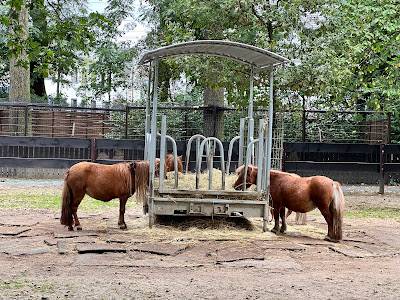 Kobelt Zoo, Gesellschaft Prof. Dr. W. Kobelt e. V. — fotografia 3