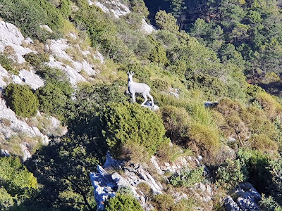 Corzo Viewpoint — fotografia 4