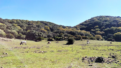 Llanos Del Campo — fotografia 3