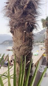 QUAI camping — fotografia 5