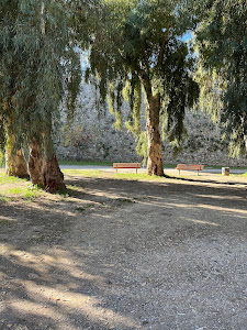 Efkalyptos Park — fotografia 3