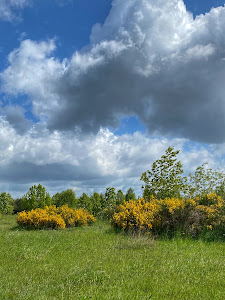 Lublinek Wilderness Preserve — fotografia 4