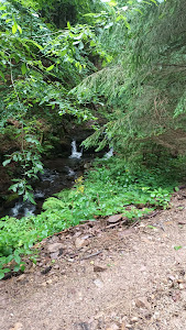 Cascada Vârciorog — fotografia 5