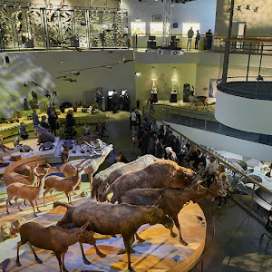Naturama — fotografia 5
