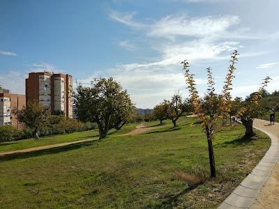 Aula de la Naturaleza Parque Moret — fotografia 5
