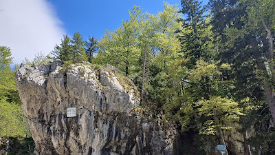 Poiana Stânei Regale — fotografia 5