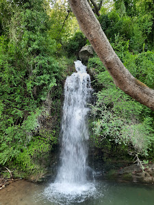 Platanistos bridge