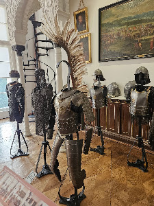 Castle in Kórnik — fotografia 5