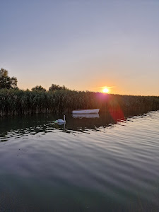 Balatonfenyves Lower open beach — fotografia 5