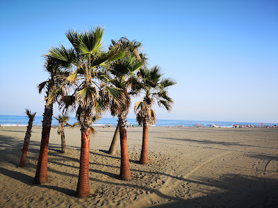 Playa de la Rada — fotografia 4
