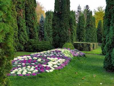Grădina botanică "Anastasie Fătu" — fotografia 4