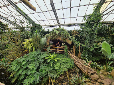 Pantropica — fotografia 4