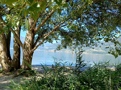 Spiaggia Selvaggia — fotografia 5