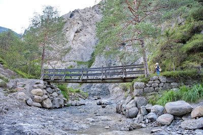 Camping am Waldbad Dellach im Drautal — fotografia 5