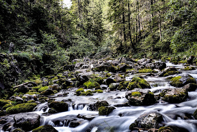 Kościeliska Valley — fotografia 3