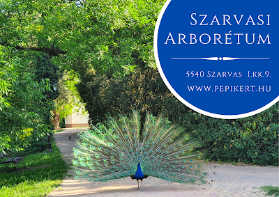 Szarvasi Arborétum