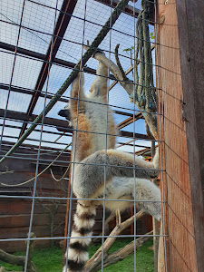 Mini Zoo Komló — fotografia 5