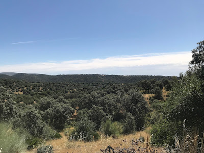 Ruta del Agua de Guillena — fotografia 4