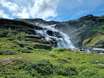 Skarvåga