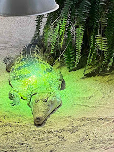 Grădina zoologică Piteşti — fotografia 5