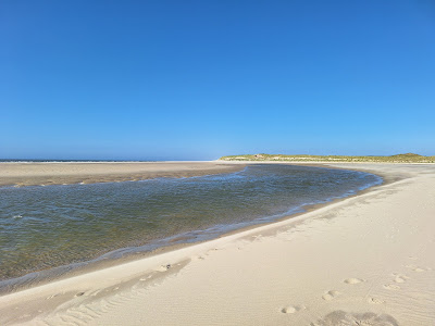 Nationaal Park Duinen van Texel — fotografia 3