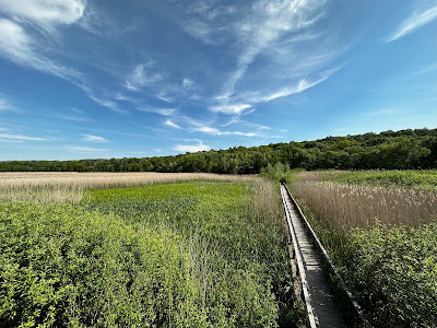Parcul Natural Comana
