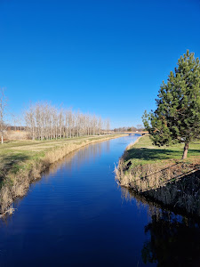 Old Lake — fotografia 5