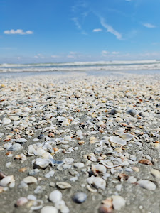 Plaja Navodari — fotografia 5